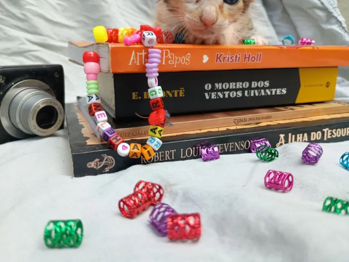 Diamantes da temporada 