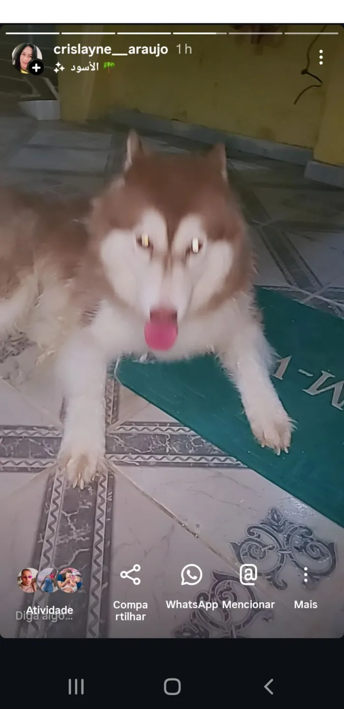 ELAINE CRISTINA SILVA DE ARAUJO