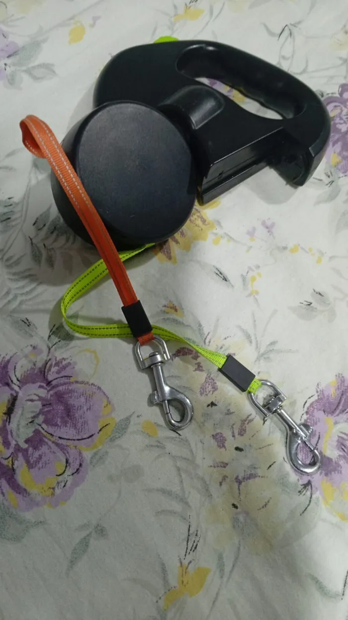 Cachorro raça SRD-ViraLata com Basset idade 1 ano nome Sushi