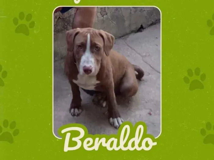 Beraldo