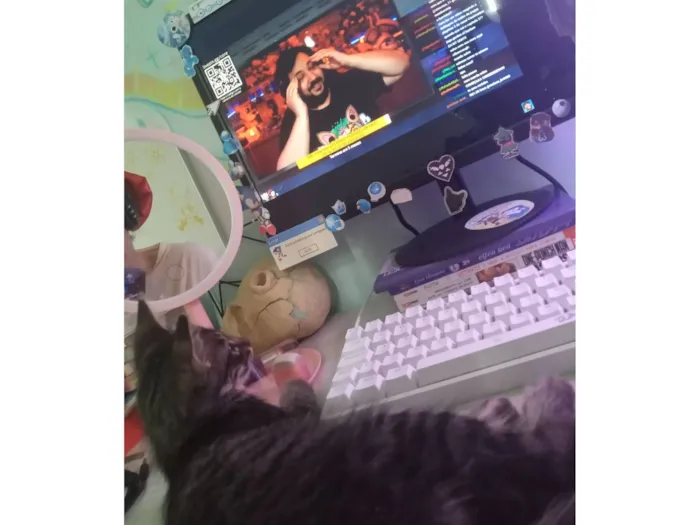 Gato raça SRD-ViraLata idade 2 a 6 meses nome Deen