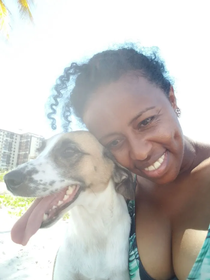 Cachorro raça SRD-ViraLata idade 5 anos nome LOLA 