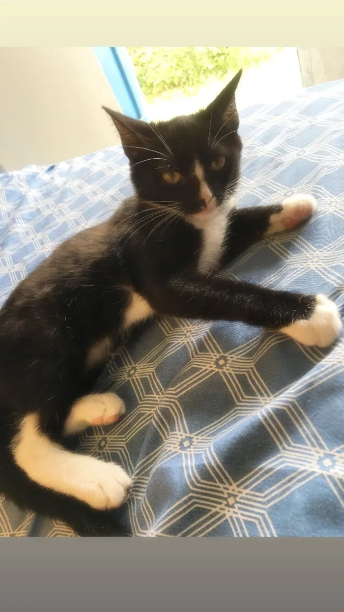 Você que escolhe ??