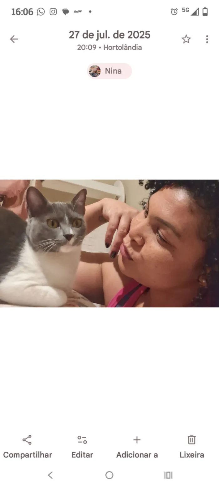 Gato raça SRD-ViraLata idade 1 ano nome Nina