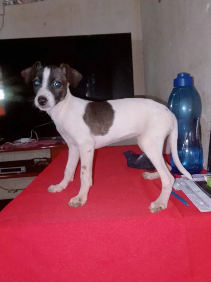 Não defini ainda não 