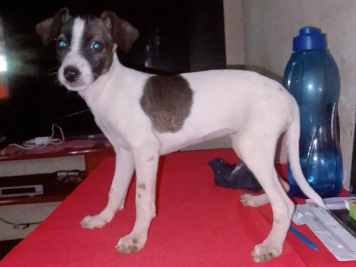 Não defini ainda não 