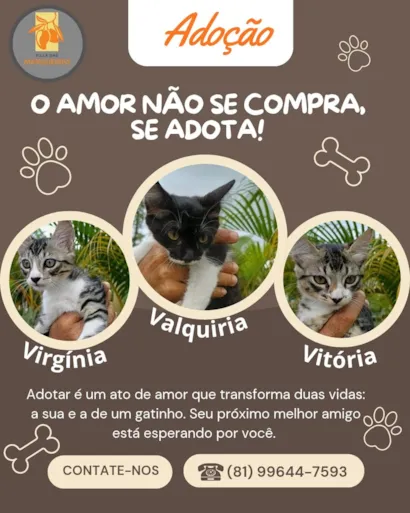 Vitória, Virgínia e Valkíria