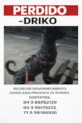 DRIKO