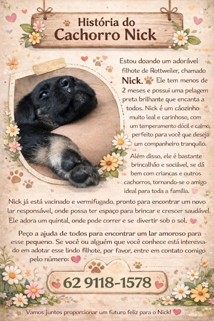 Cachorro raça Rottweiler idade Abaixo de 2 meses nome Nick