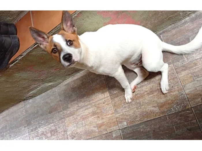 Marley bb7meses porte P