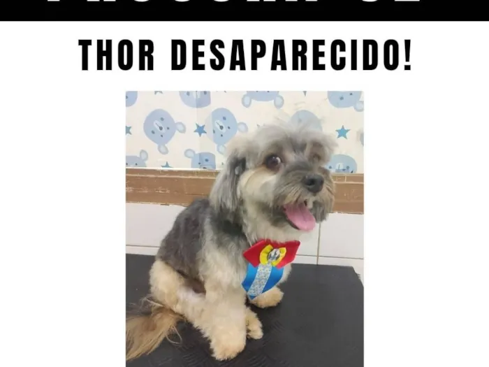 Thor