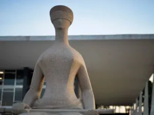 Cachorro raça Fox Terrier idade 1 ano nome asdasd