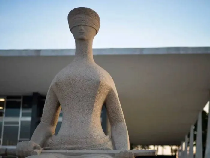 Cachorro raça Fox Terrier idade 1 ano nome asdasd