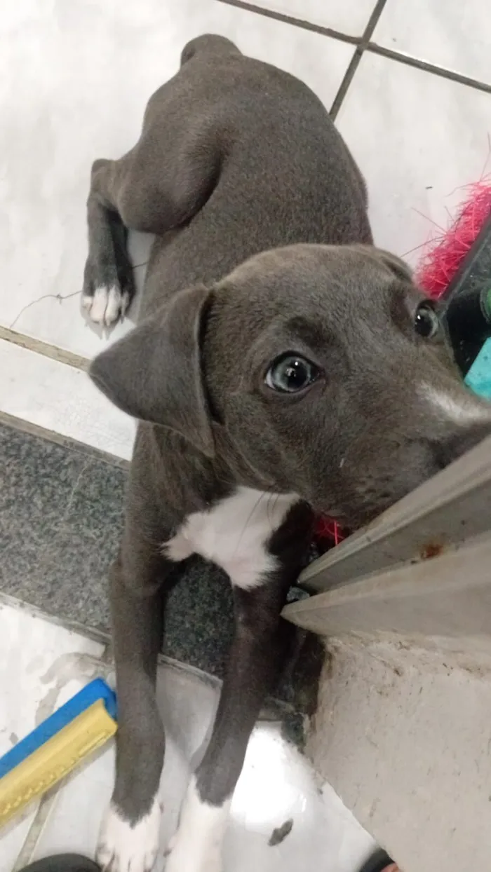 Hope da Silva Nascimento 