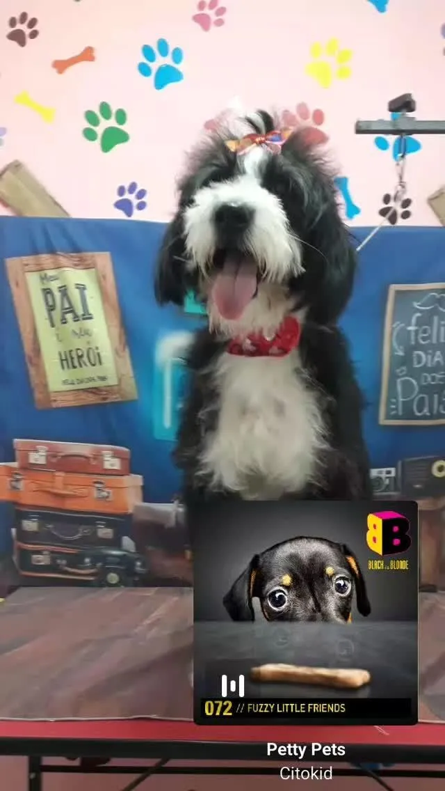 Cachorro raça SRD-ViraLata idade 4 anos nome Luli 