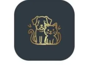 Cachorro raça Shitzu idade 7 a 11 meses nome sdawdad