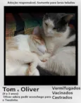 Oliver e Tom