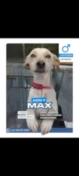 Max