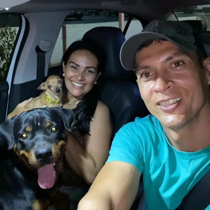 Cachorro raça Rottweiler idade 2 anos nome Rulk