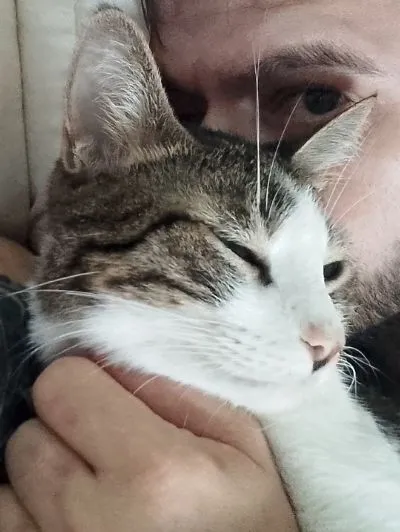 Gato raça SRD-ViraLata idade 2 anos nome James