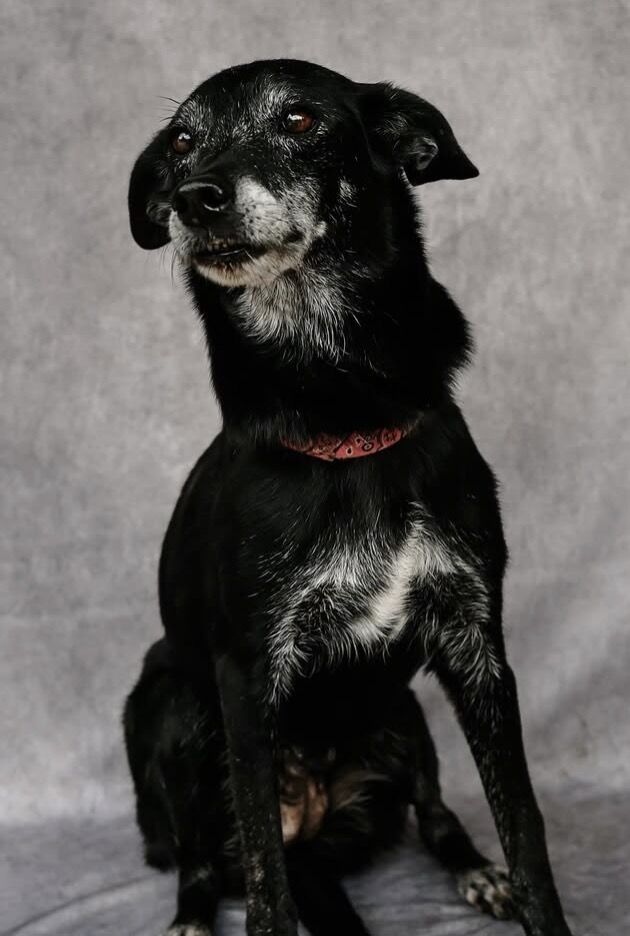 Noite  - Rio de Janeiro