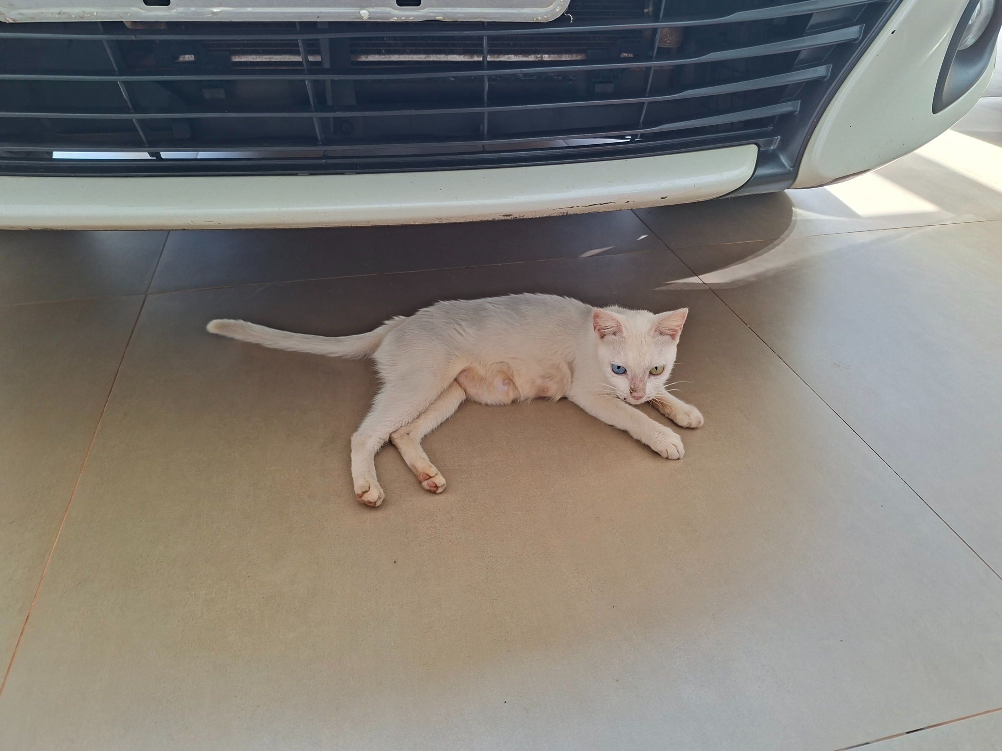 sem nome definido  - Campo Grande