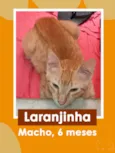 Loirinho