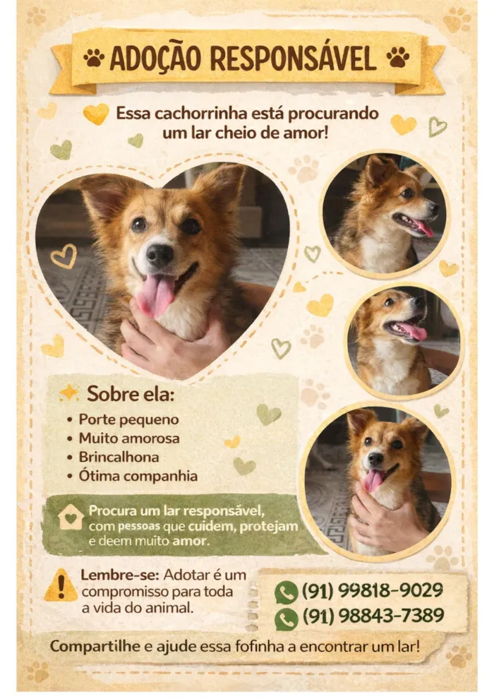 Cachorro raça SRD-ViraLata idade 1 ano nome Ruby