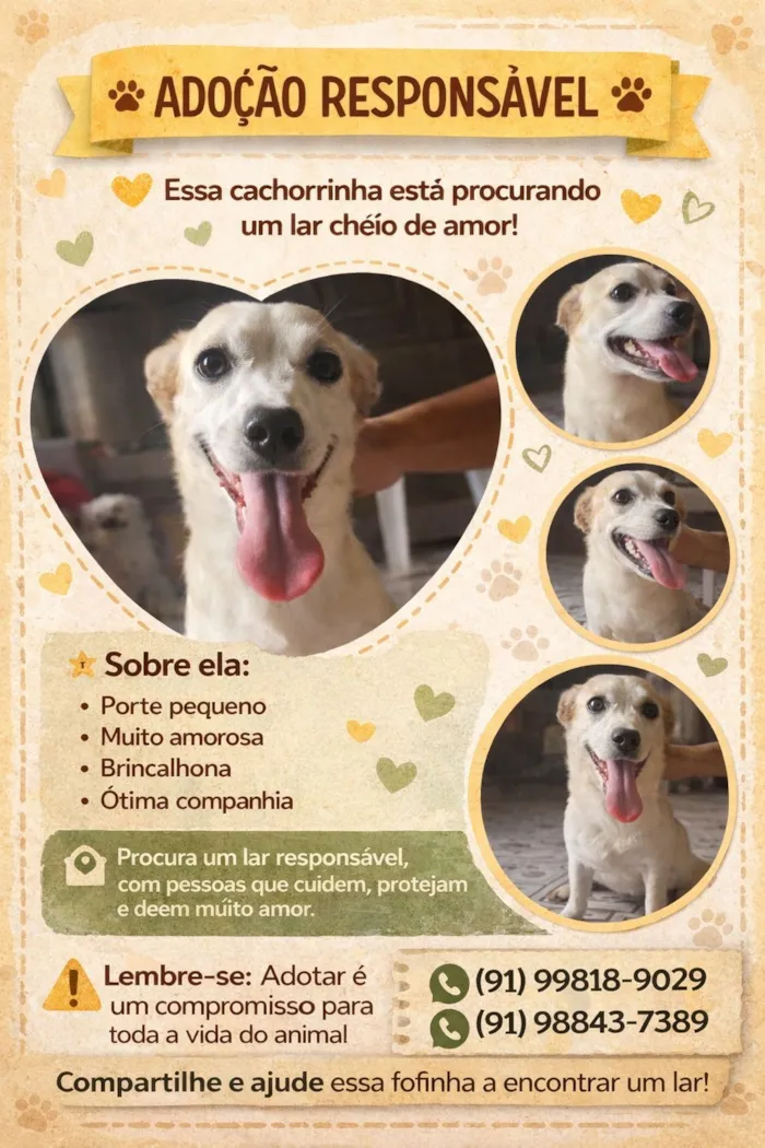 Cachorro raça SRD-ViraLata idade 1 ano nome Lili