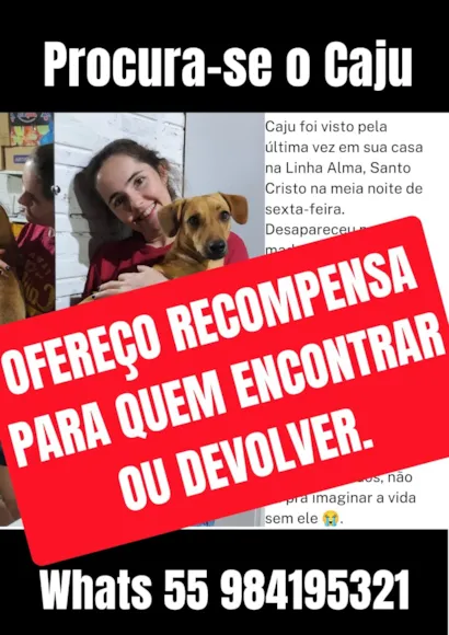 Cachorro raça SRD-ViraLata idade 3 anos nome Caju