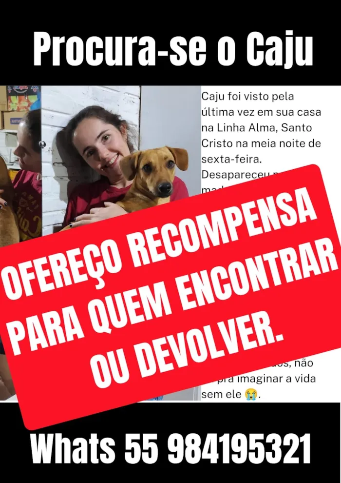 Cachorro raça SRD-ViraLata idade 3 anos nome Caju