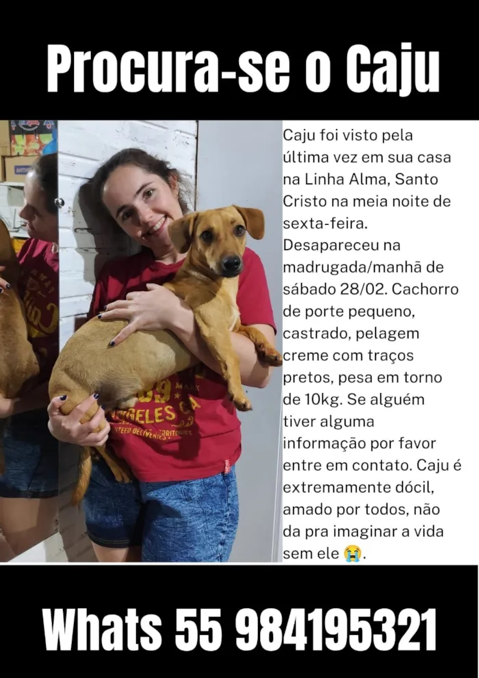 Cachorro raça SRD-ViraLata idade 3 anos nome Caju