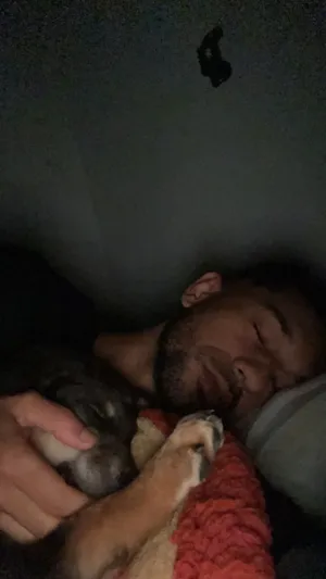 Cachorro raça SRD-ViraLata idade 1 ano nome Meu