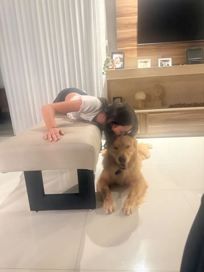 Cachorro raça Labrador idade 1 ano nome Bartholomeu