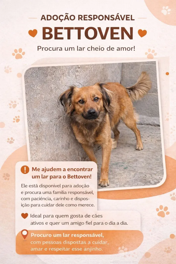 Cachorro raça SRD-ViraLata idade 3 anos nome Bettoven 