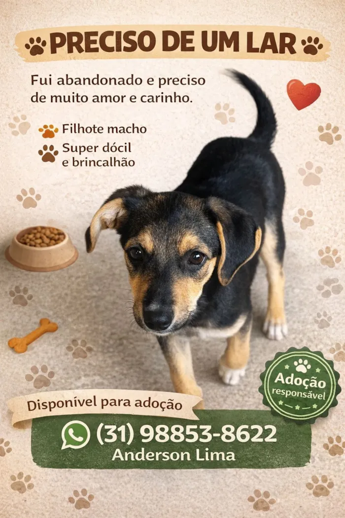 Cachorro raça SRD-ViraLata idade 2 a 6 meses nome Ruliço