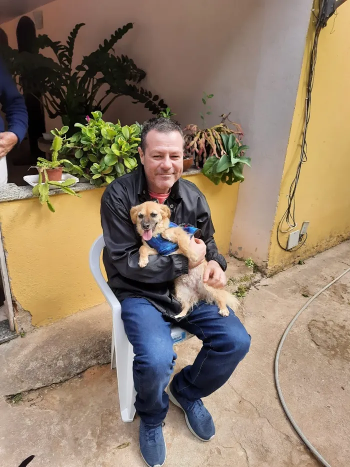 Cachorro raça SRD-ViraLata idade 6 ou mais anos nome nina