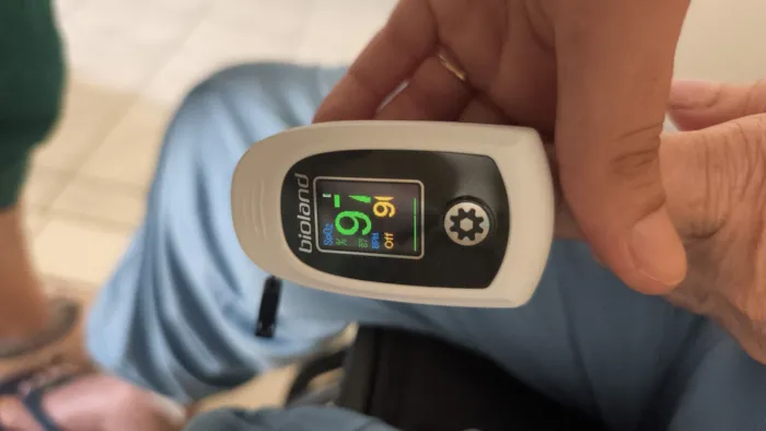 Cachorro raça SRD-ViraLata idade 3 anos nome melissa 