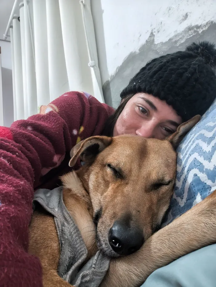 Cachorro raça SRD-ViraLata idade 3 anos nome Melissa 