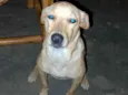 Muñeca 