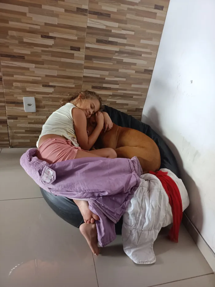 Cachorro raça Pit-Bull idade 3 anos nome wanda