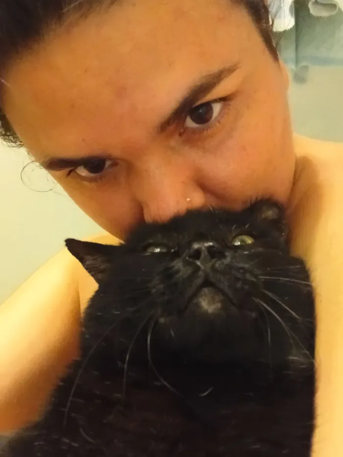 Gato raça SRD-ViraLata idade 4 anos nome Pittinho