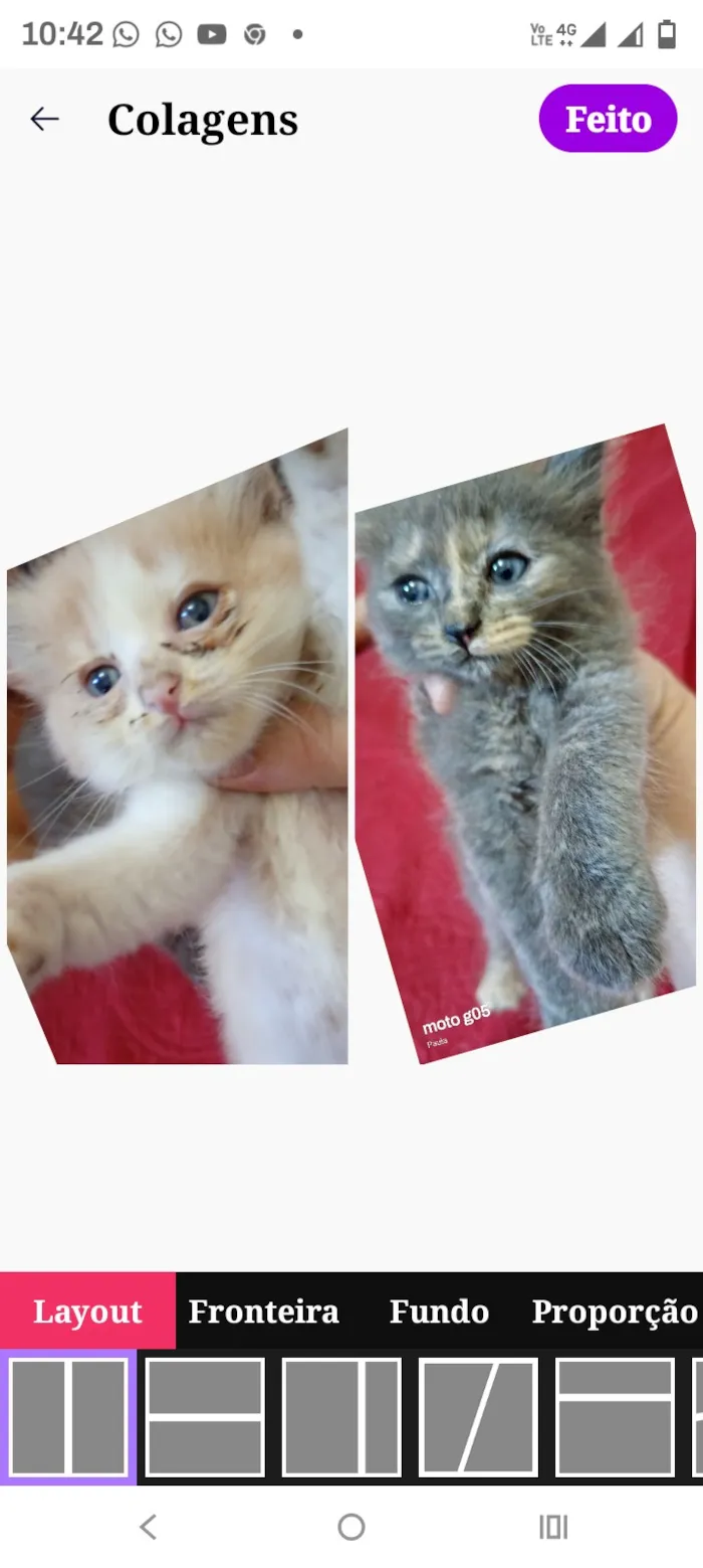 Gato raça SRD-ViraLata idade Abaixo de 2 meses nome cinza , bege