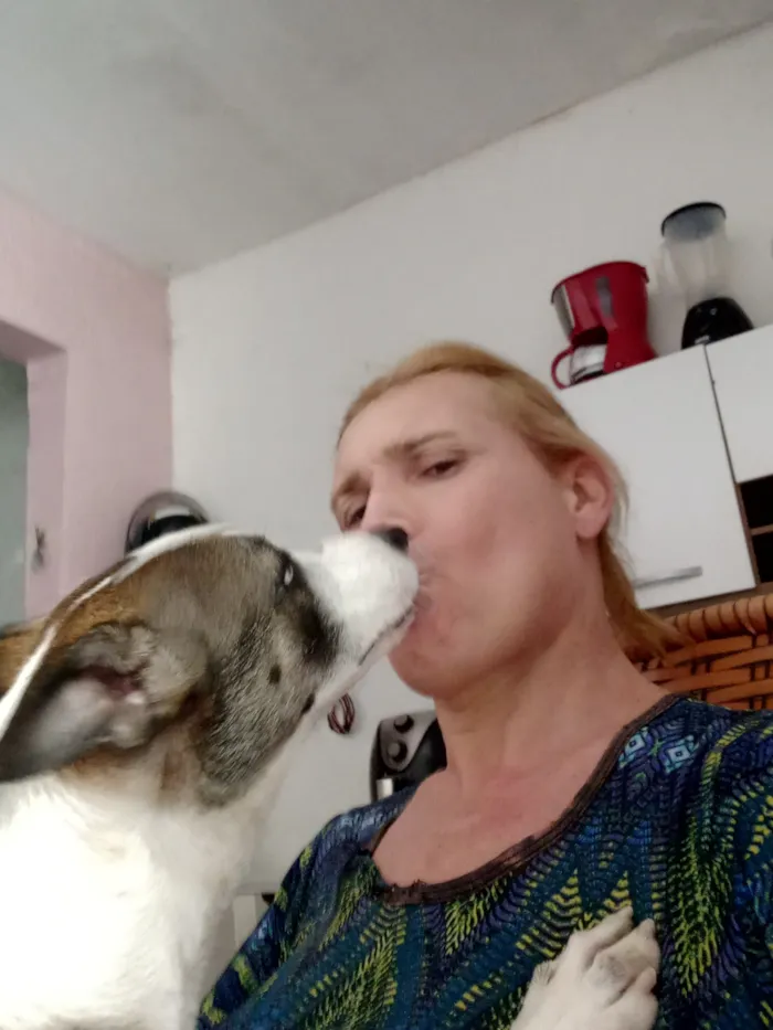 Cachorro raça SRD-ViraLata idade 3 anos nome nega