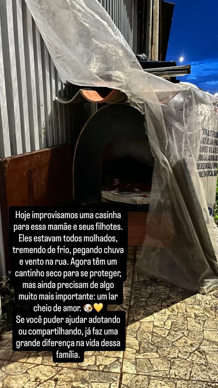 Cachorro raça SRD-ViraLata idade Abaixo de 2 meses nome Galega e seus filhos 