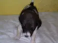 recém nascido