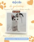 gatinhas fêmeas 