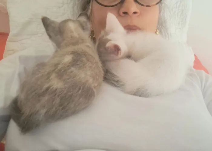 Gato raça SRD-ViraLata idade Abaixo de 2 meses nome Mick