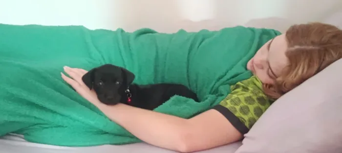 Cachorro raça SRD-ViraLata idade 2 a 6 meses nome Gamora 