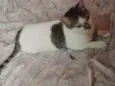 Princesa